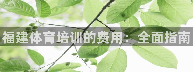 焦点娱乐平台是正规的吗：福建体育培训的费用：全面指南