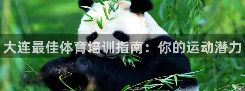 焦点娱乐传媒有限公司招聘要求：大连最佳体育培训指南：