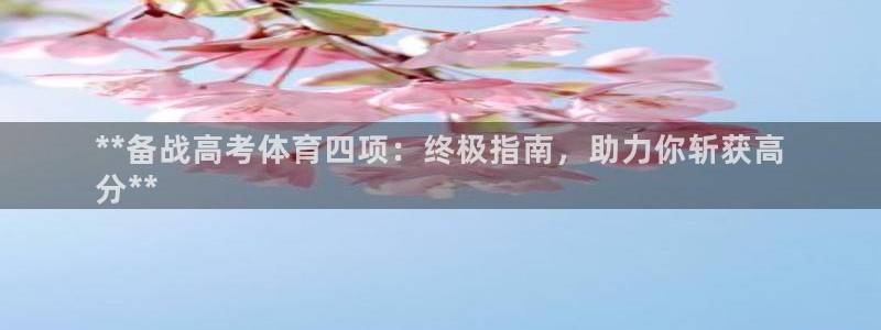 焦点娱乐公司：**备战高考体育四项：终极指南，助力你