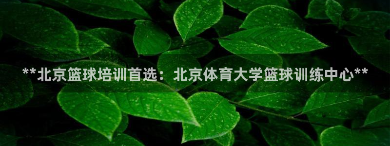 焦点娱乐平台留7O777：**北京篮球培训首选：北京
