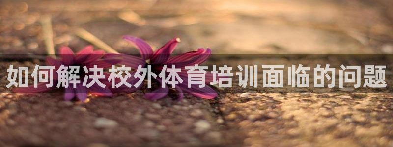 焦点娱乐开发商是谁：如何解决校外体育培训面临的问题