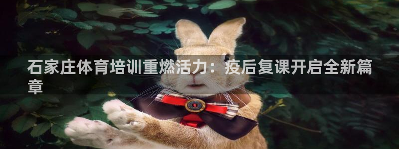 焦点娱乐如何注册账号的：石家庄体育培训重燃活力：疫后