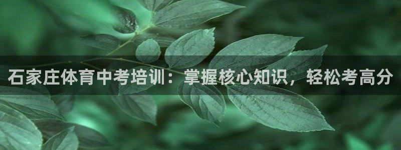 焦点娱乐游戏怎么玩视频：石家庄体育中考培训：掌握核心