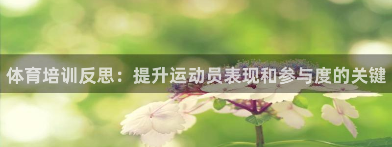 焦点娱乐平台客服电话号码是多少：体育培训反思：提升运