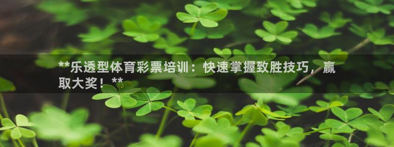 焦点娱乐无法提现怎么办：**乐透型体育彩票培训：快速