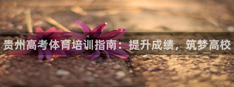 焦点娱乐简七O935最新版本更新内容：贵州高考体育培