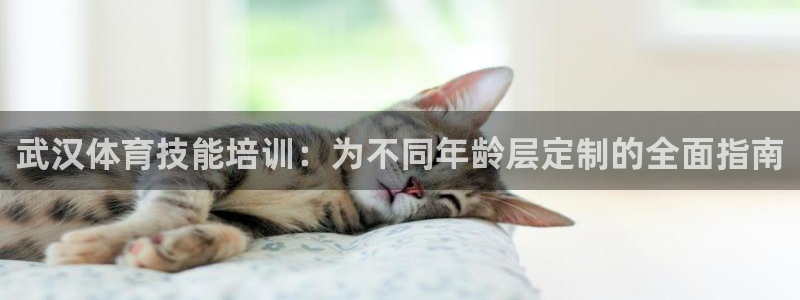焦点娱乐会所：武汉体育技能培训：为不同年龄层定制的全