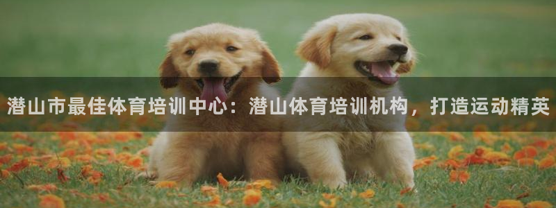 焦点娱乐无法提现怎么回事：潜山市最佳体育培训中心：潜