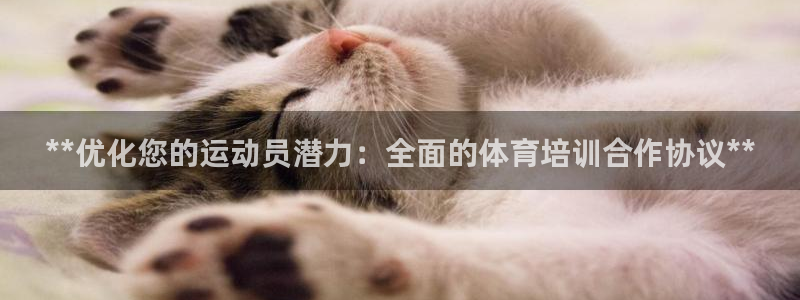 焦点娱乐官方网站入口下载手机版：**优化您的运动员潜