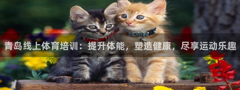 焦点娱乐app下载安装方式：青岛线上体育培训：提升体