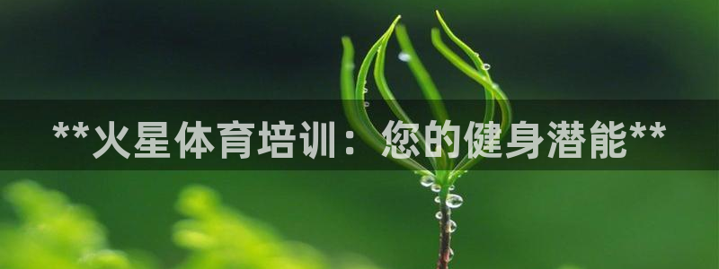 焦点娱乐拉菲11月11日：**火星体育培训：您的健身