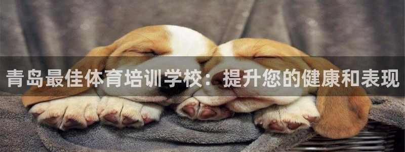 焦点娱乐平台总代理开户怎么样啊：青岛最佳体育培训学校