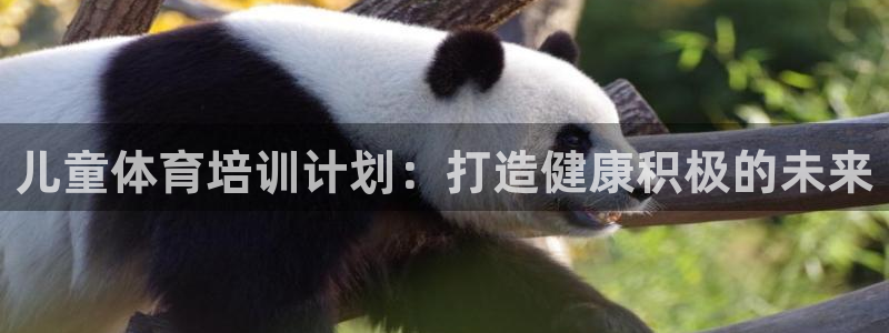 焦点娱乐招商注册 知乎：儿童体育培训计划：打造健康积