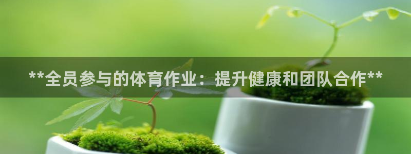 焦点娱乐公司的发展历程是什么：**全员参与的体育作业
