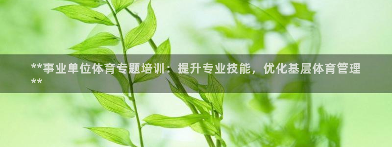 焦点娱乐下载手机版官网