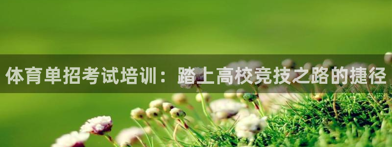 焦点娱乐加速器下载安卓：体育单招考试培训：踏上高校竞