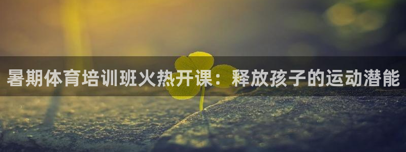 焦点娱乐官方网站下载手机版苹果：暑期体育培训班火热开