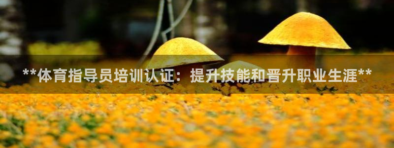 焦点娱乐官网首页入口