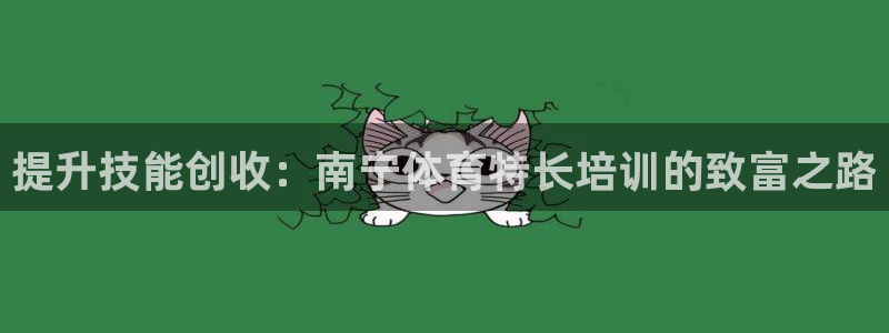 焦点娱乐app下载安装苹果：提升技能创收：南宁体育特长培训的