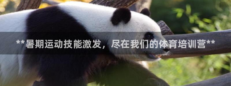 焦点娱乐是黑平台吗知乎：**暑期运动技能激发，尽在我们的体育