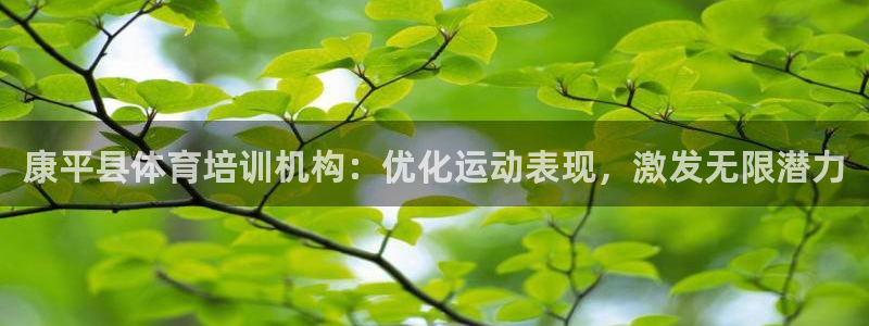 焦点娱乐平台怎么样知乎：康平县体育培训机构：优化运动