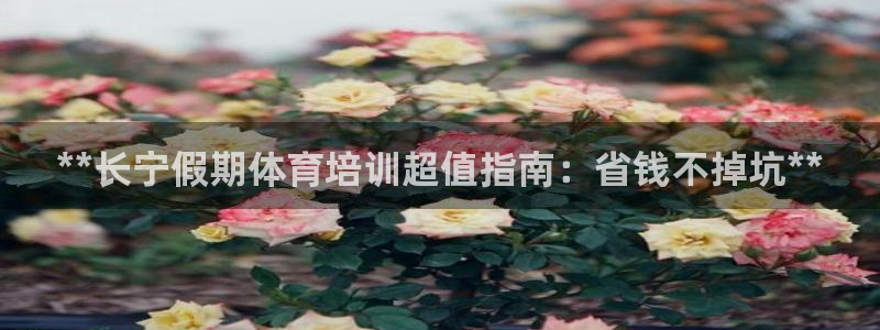 焦点娱乐平台客服电话号码是多少：**长宁假期体育培训