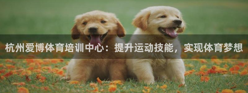 焦点娱乐app下载安装苹果：杭州爱博体育培训中心：提