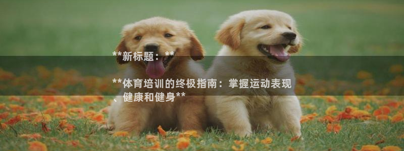 焦点娱乐开发：**新标题：**

**体育培训的终极
