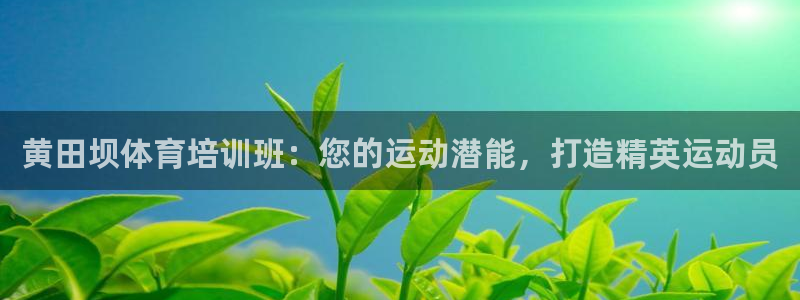 焦点娱乐股东：黄田坝体育培训班：您的运动潜能，打造精