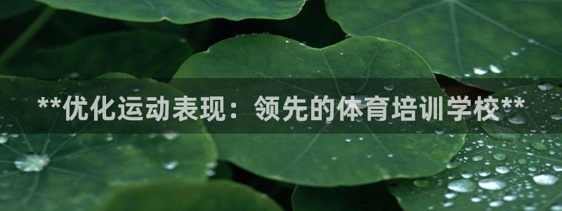 焦点娱乐官网下载苹果版：**优化运动表现：领先的体育