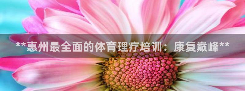 焦点娱乐怎么找客服：**惠州最全面的体育理疗培训：康复巅峰*