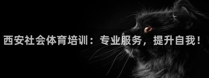 焦点娱乐平台总代理开户：西安社会体育培训：专业服务，