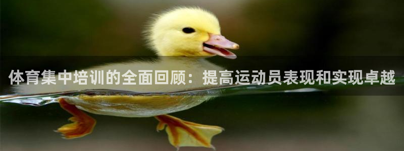 焦点娱乐平台注册账号怎么注销掉：体育集中培训的全面回顾：提高