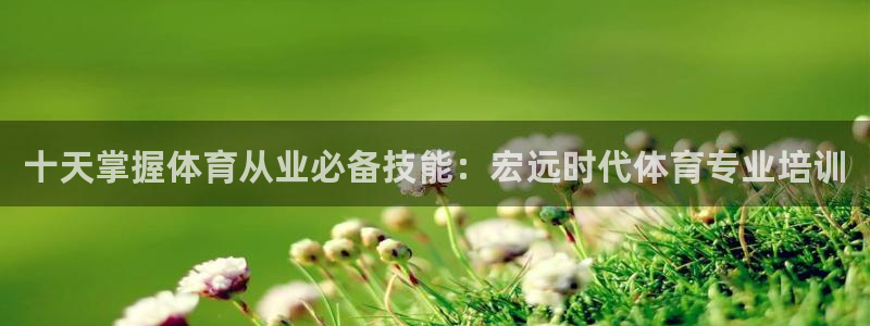 焦点娱乐官方网站下载手机版安装：十天掌握体育从业必备技能：宏