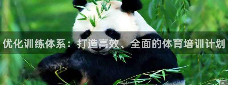 焦点娱乐公司官网