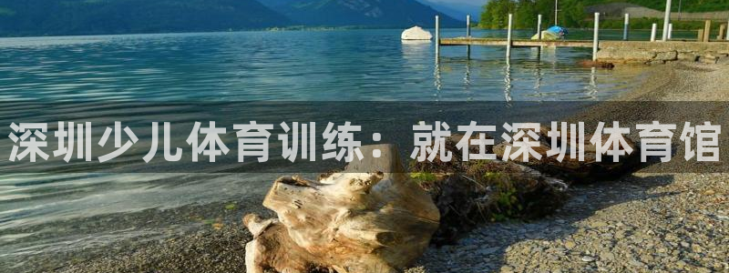 焦点娱乐平台是正规的吗：深圳少儿体育训练：就在深圳体育馆