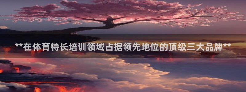 焦点娱乐什么意思：**在体育特长培训领域占据领先地位