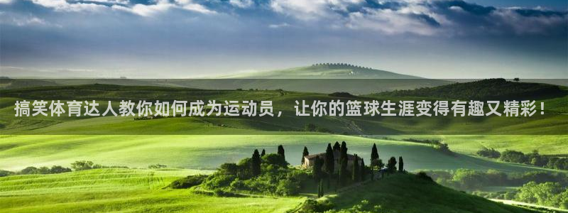 焦点娱乐官方网站入口在线观看