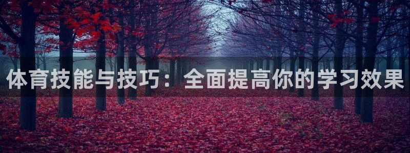 焦点娱乐平台是正规的吗安全吗：体育技能与技巧：全面提高你的学