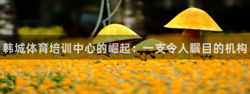 焦点娱乐网：韩城体育培训中心的崛起：一支令人瞩目的机