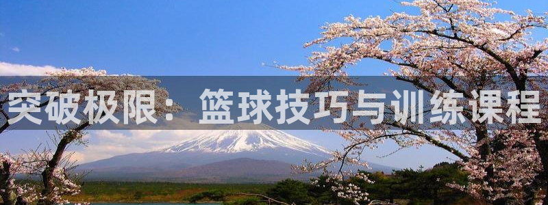 焦点娱乐传媒有限公司怎么样啊：突破极限：篮球技巧与训