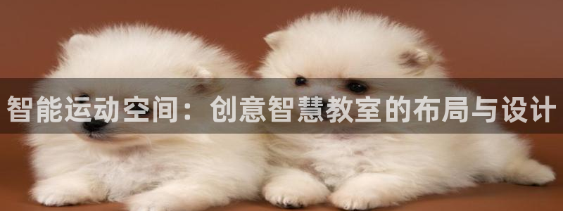 焦点娱乐官方网站入口