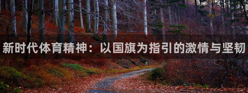 焦点娱乐传媒有限公司是干嘛的：新时代体育精神：以国旗