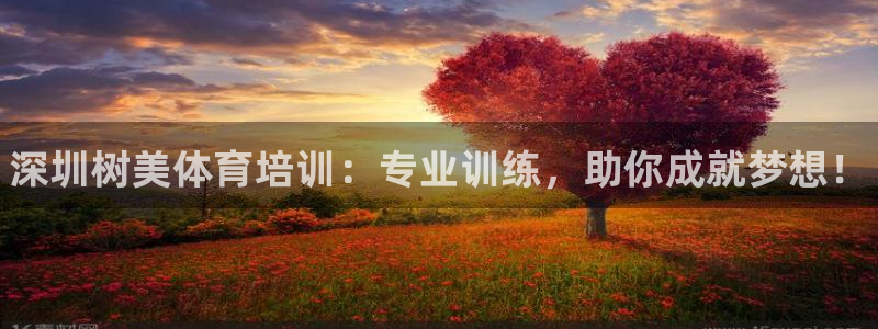焦点娱乐平台登录不了怎么办：深圳树美体育培训：专业训