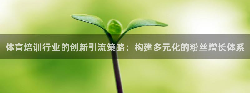 焦点娱乐皮皮虾视频：体育培训行业的创新引流策略：构建