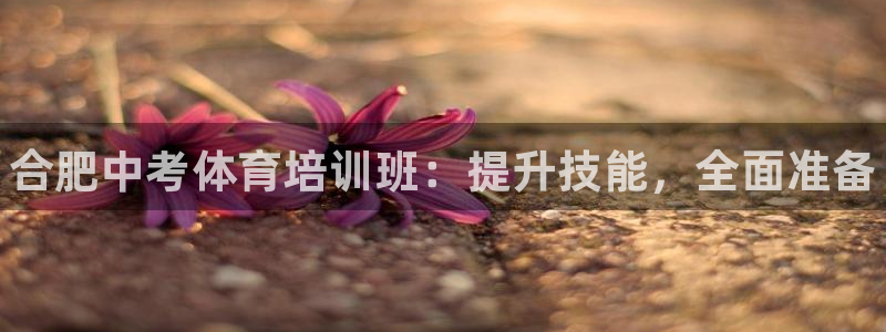 焦点娱乐公司的发展历程简述：合肥中考体育培训班：提升技能，全