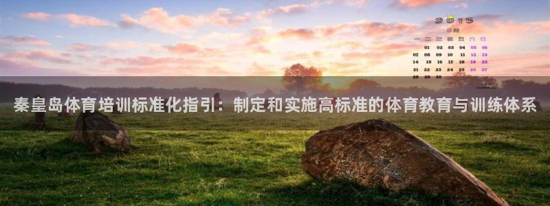 焦点娱乐是什么软件：秦皇岛体育培训标准化指引：制定和实施高标