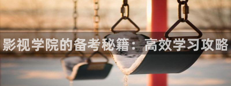 26uuu影院亚洲欧美综合：影视学院的备考秘籍：高效学习攻略