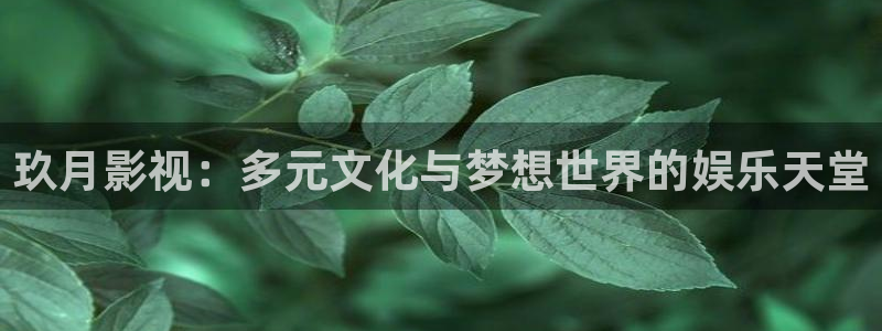 eeuuss在线影院：玖月影视：多元文化与梦想世界的娱乐天堂