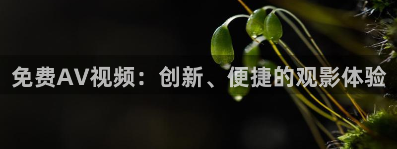 26uuu汤姆影院：免费AV视频：创新、便捷的观影体验